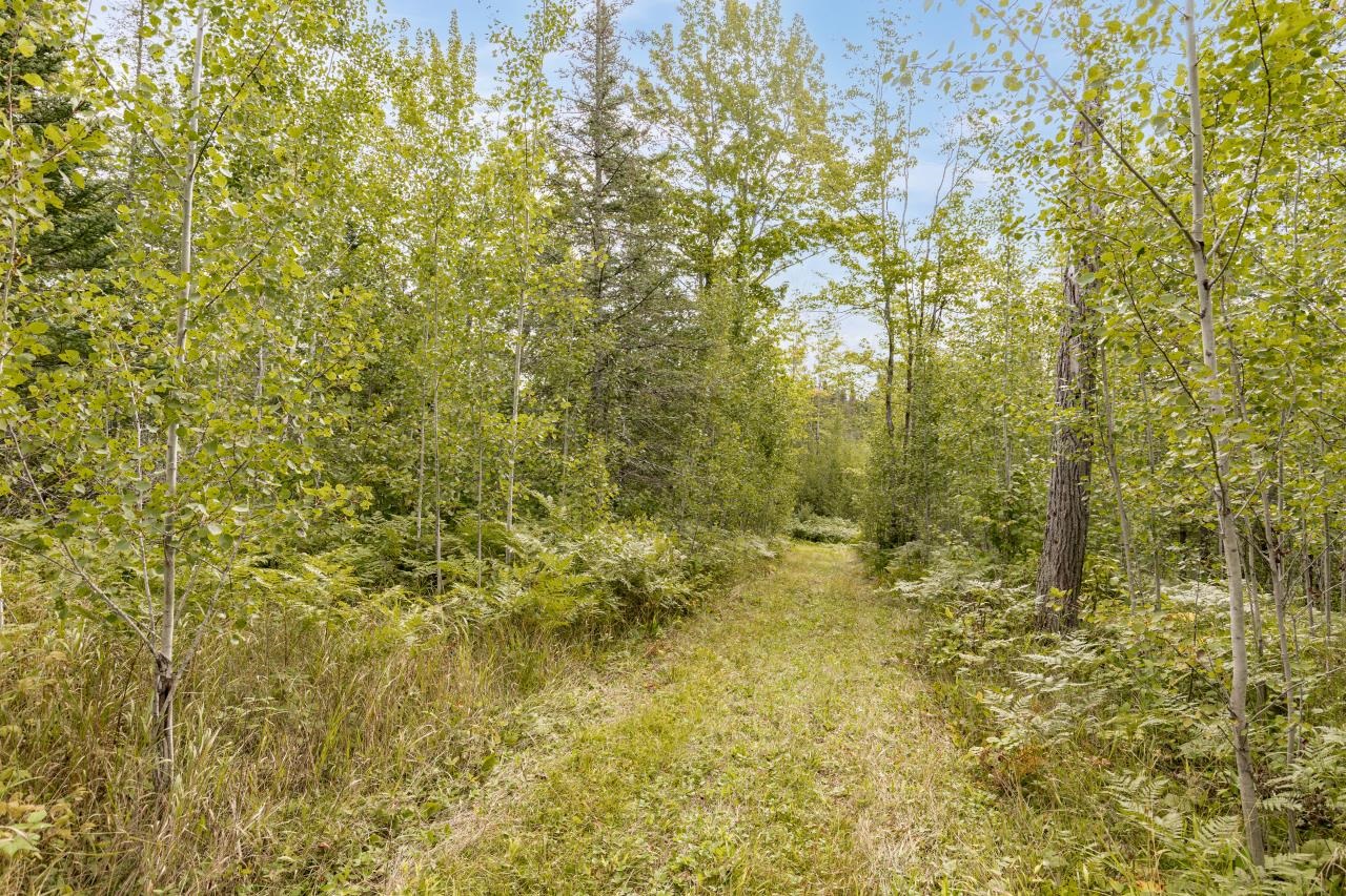 5854 Alborn-Brookston Road Alborn, MN 55702 - Photo 37 of 37 Mowed trails throughout