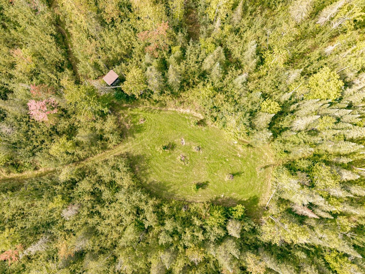 Aerial with food plot