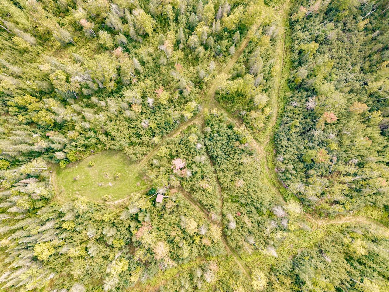 Mowed trails throughout