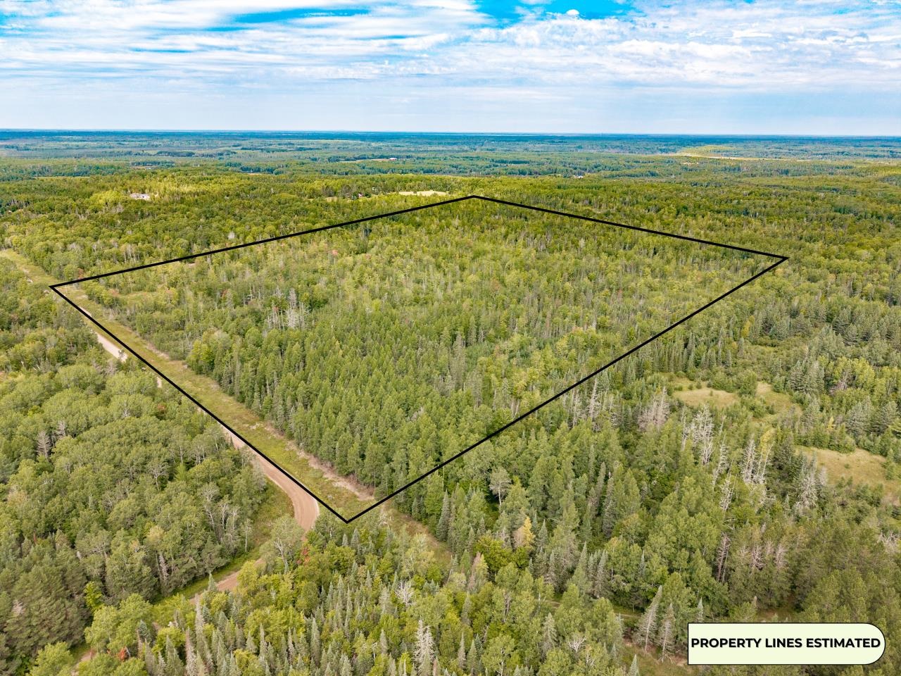 5854 Alborn-Brookston Road Alborn, MN 55702 - Photo 10 of 37 40 acres