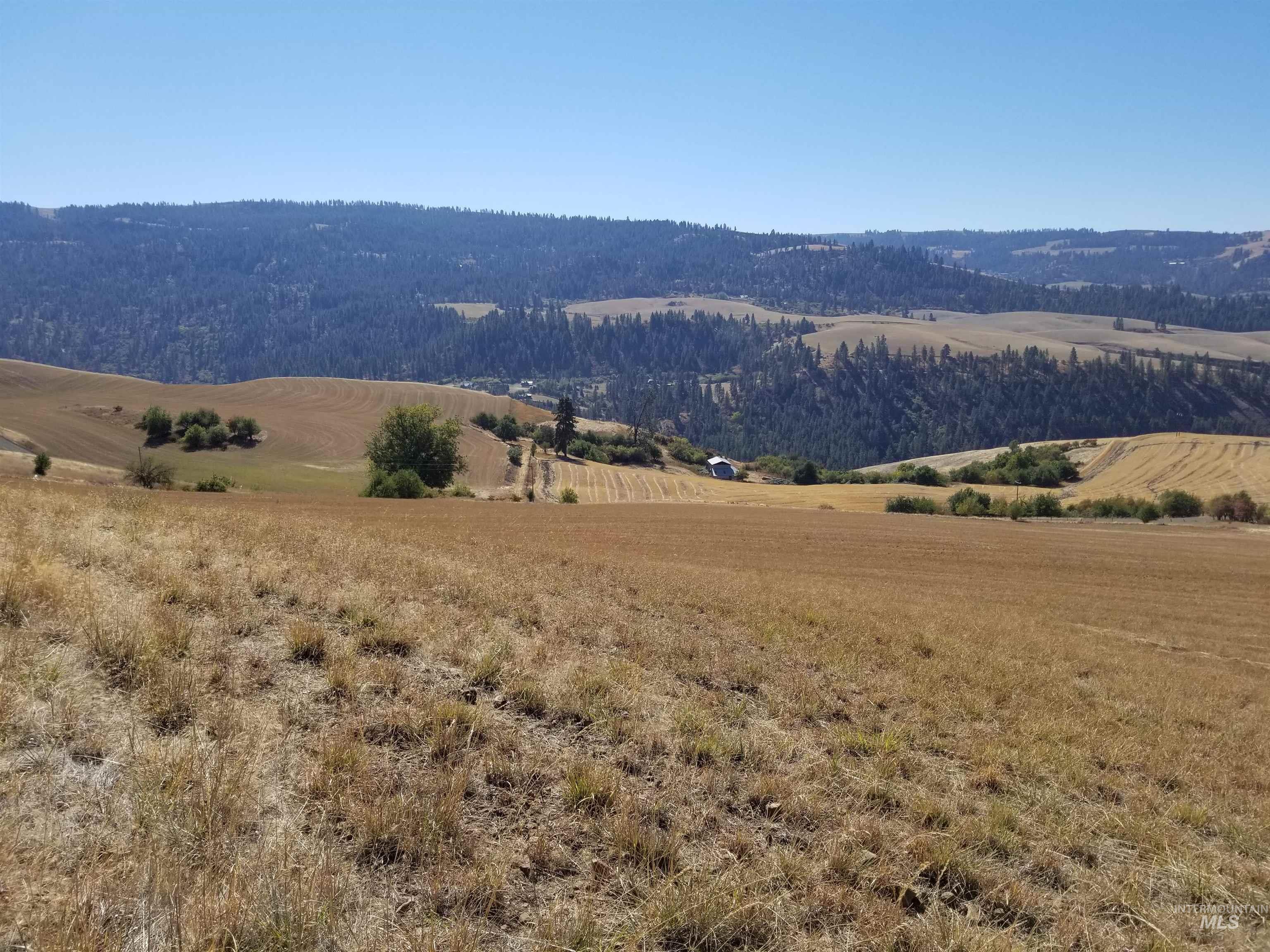 Tbd Sunnyside Bench Road Lenore, ID 83541 - Photo 35 of 37 Gallery Image 35