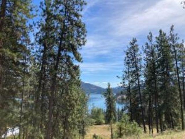 Lot 2 Kifer Spur Road Kettle Falls, WA 99141 - Photo 1 of 12 Gallery Image 1