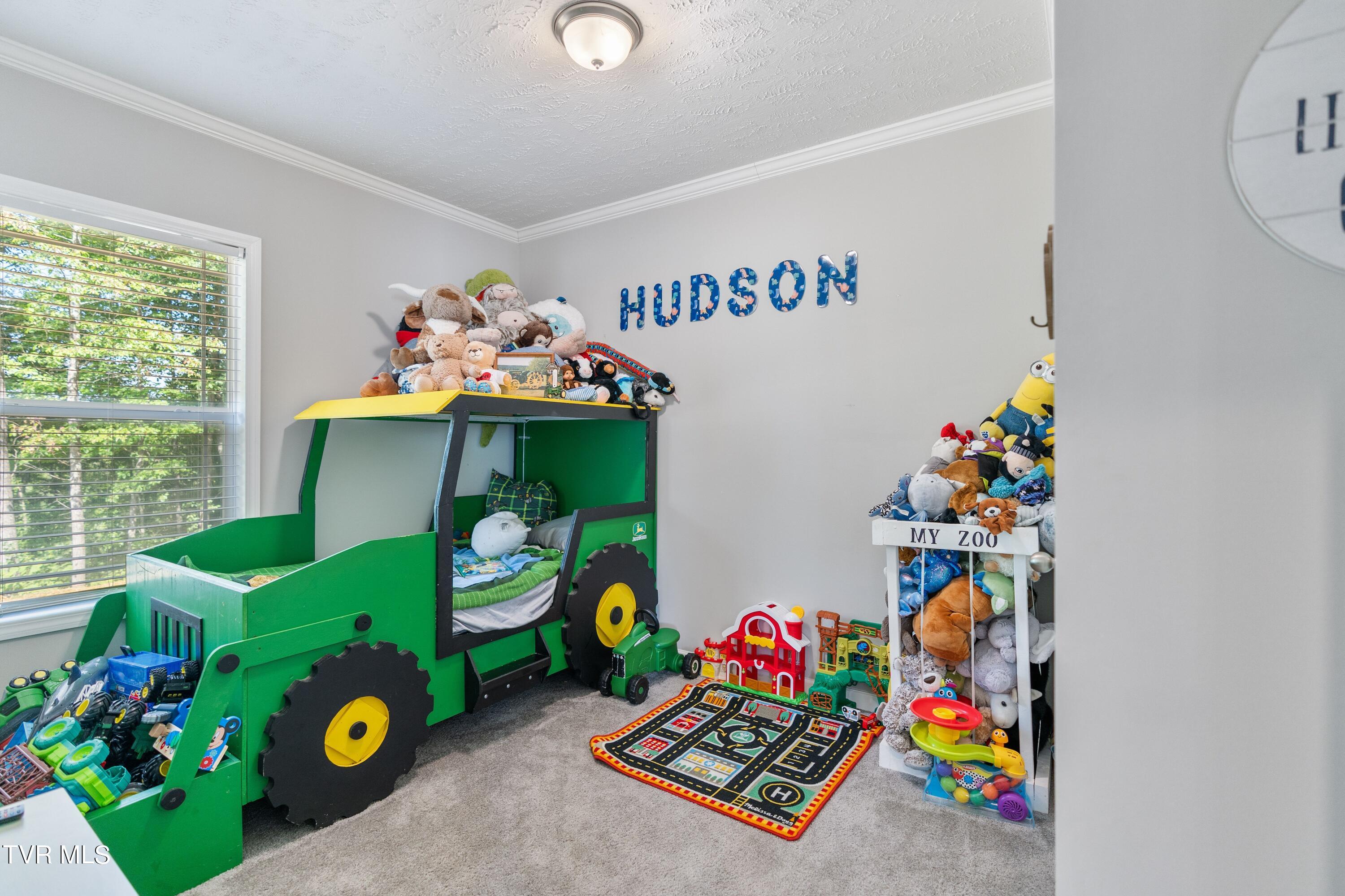 1340 Colvert Road Mosheim, TN 37818 - Photo 21 of 31 1000001363