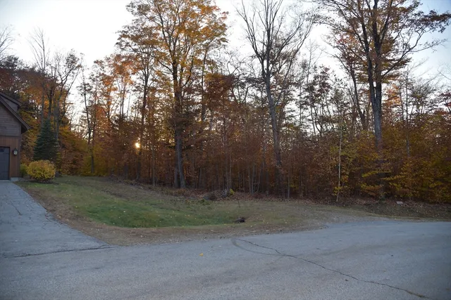 a view of a field with trees in the background