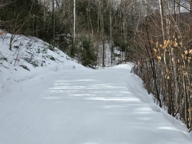 a view of path and trees