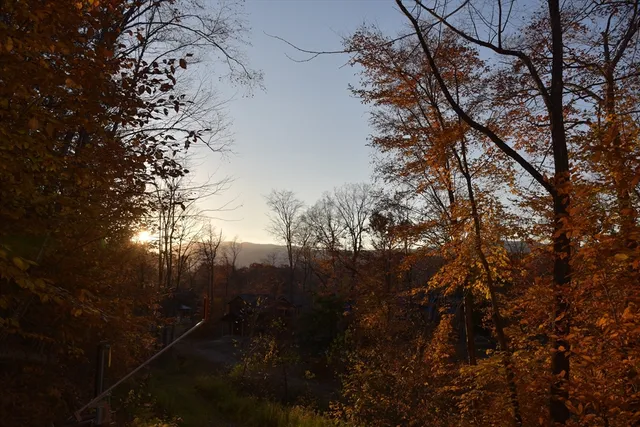 a view of mountain view with lots of trees