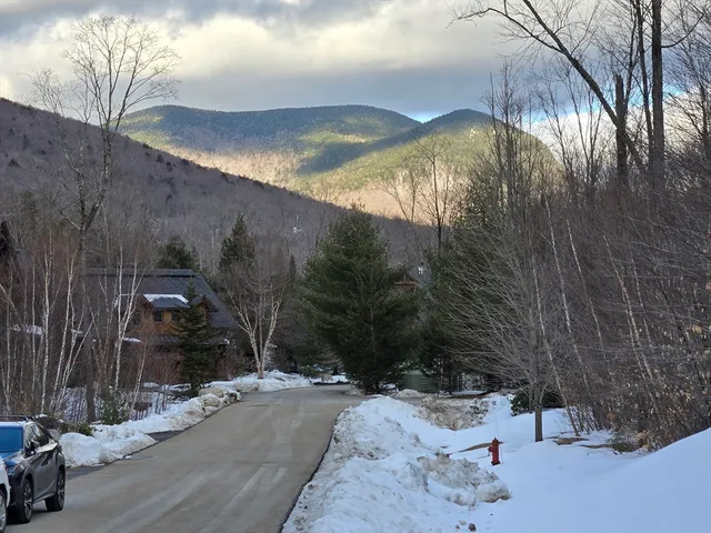a view of a road with a yard