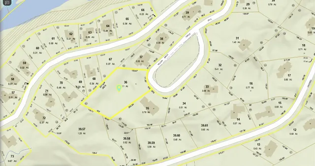 a bathroom with a bathtub and shower curtain