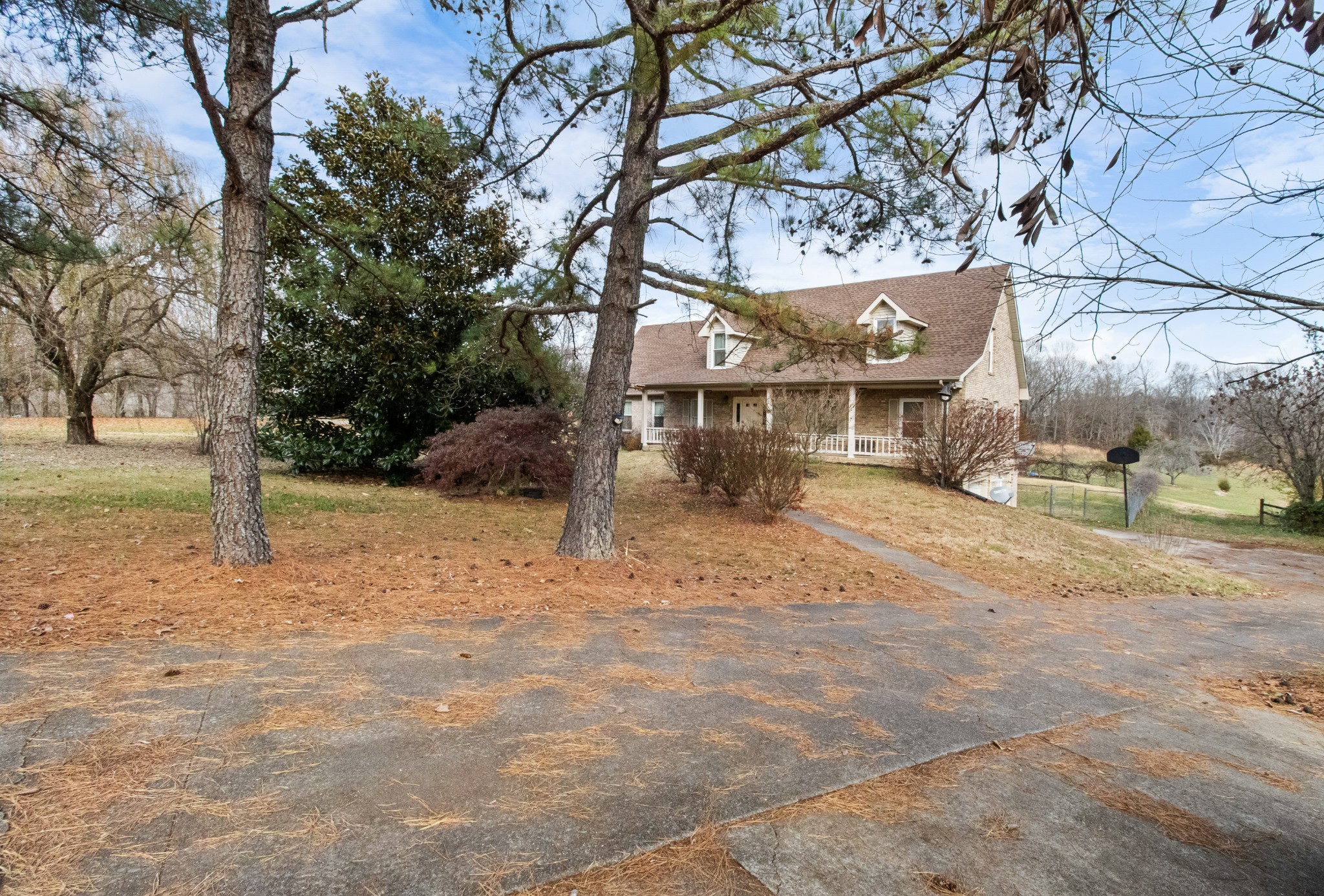 3710 Marthas Chapel Road Cunningham, TN 37052 - Photo 5 of 50 a view of a yard with a tree