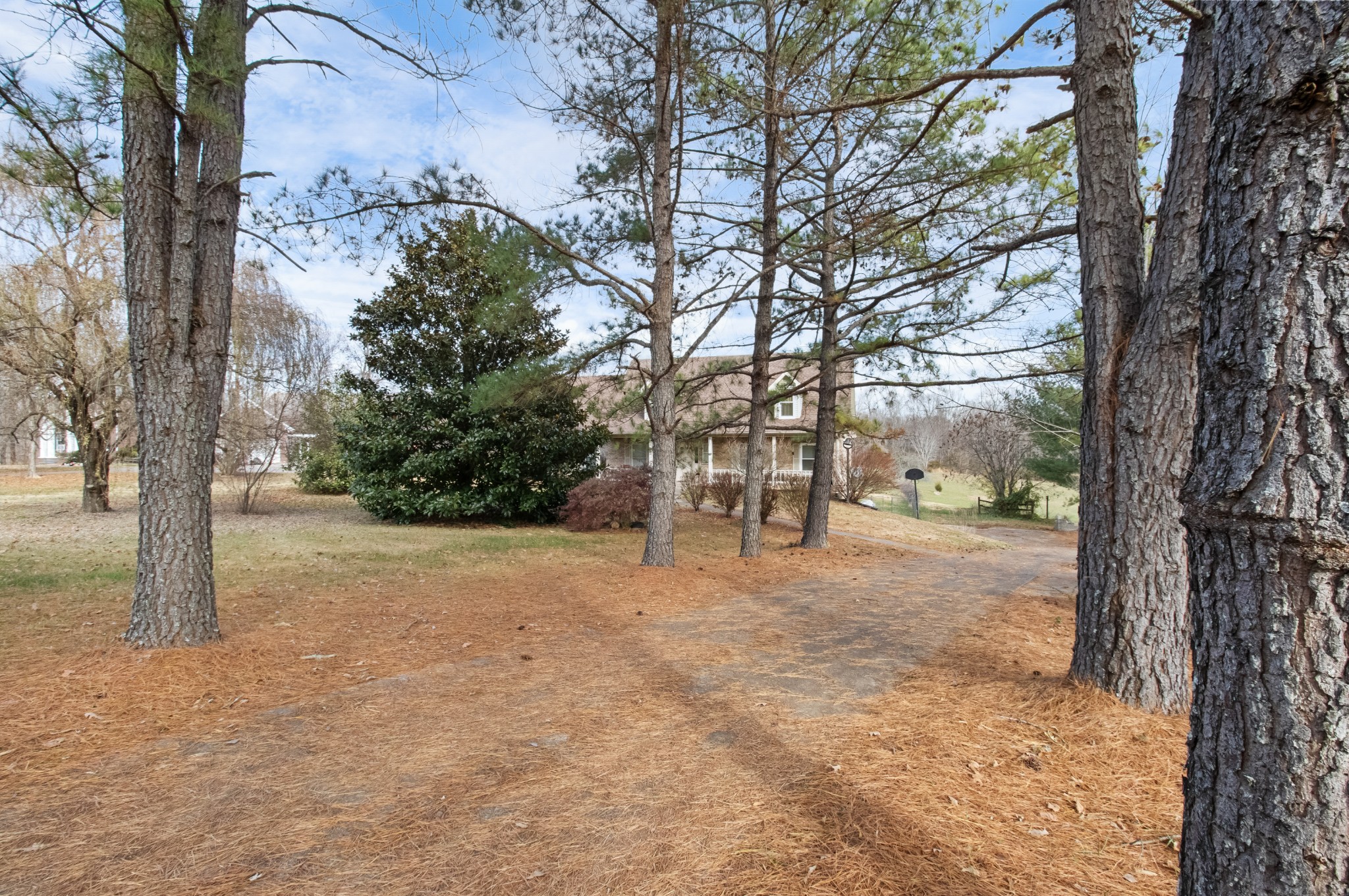 3710 Marthas Chapel Road Cunningham, TN 37052 - Photo 6 of 50 a view of a yard with trees