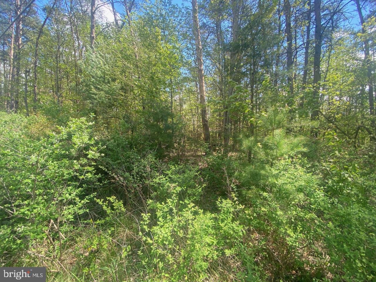 0 Middle Ridge Road Newport, PA 17074 - Photo 3 of 3 Gallery Image 3
