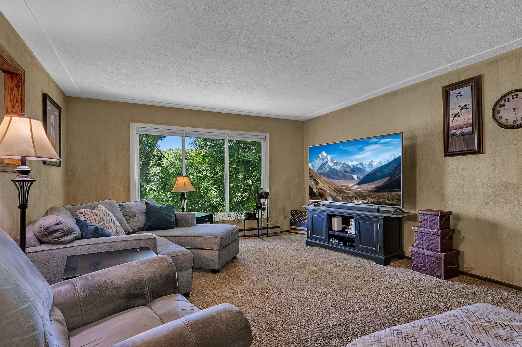 10150 Beebe Lake Road Northeast Hanover, MN 55341 - Photo 28 of 51 Gallery Image 28