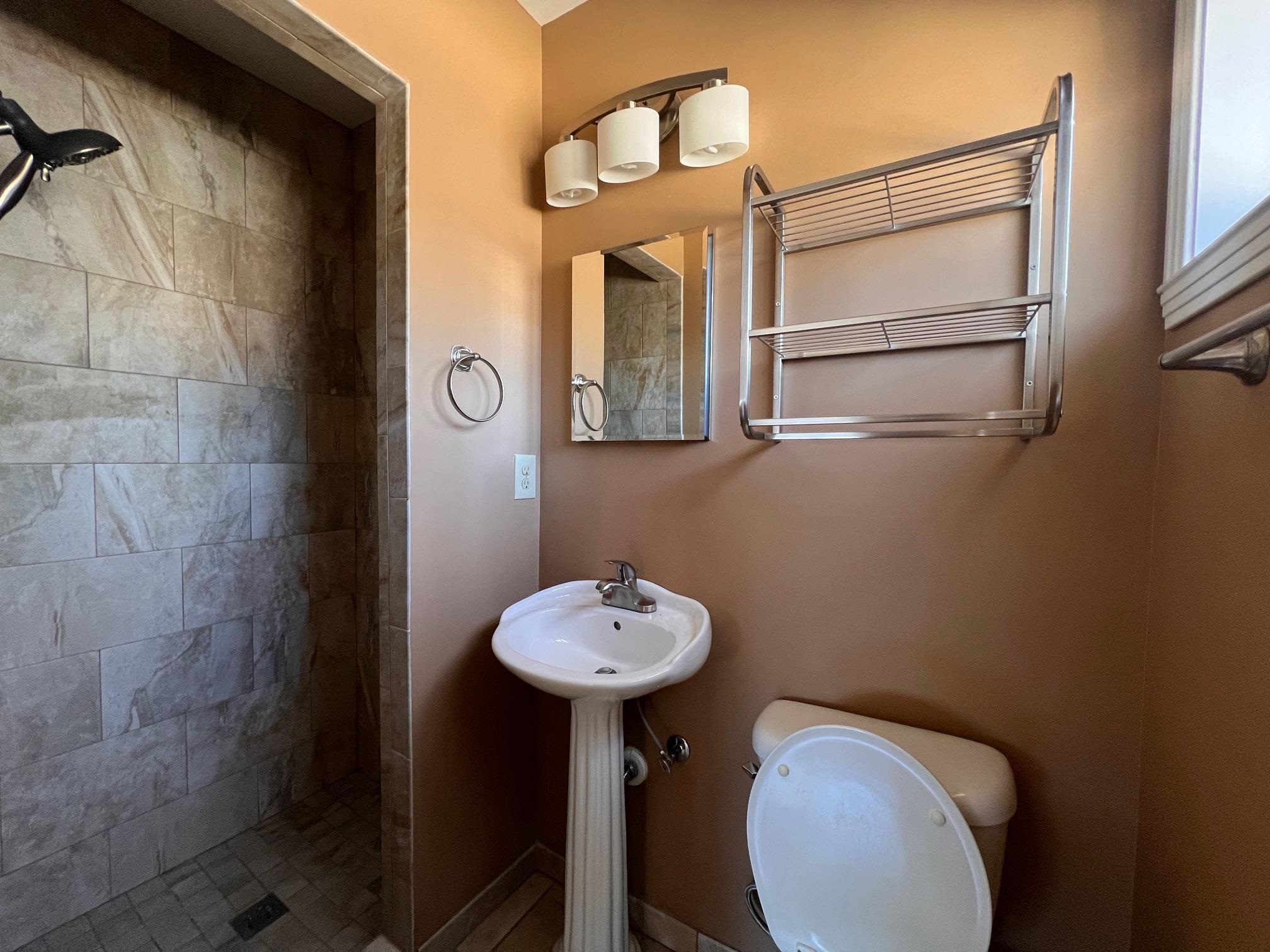3034 Laurencekirk Road Memphis, TN 38128 - Photo 12 of 27 a bathroom with a sink a mirror and a toilet