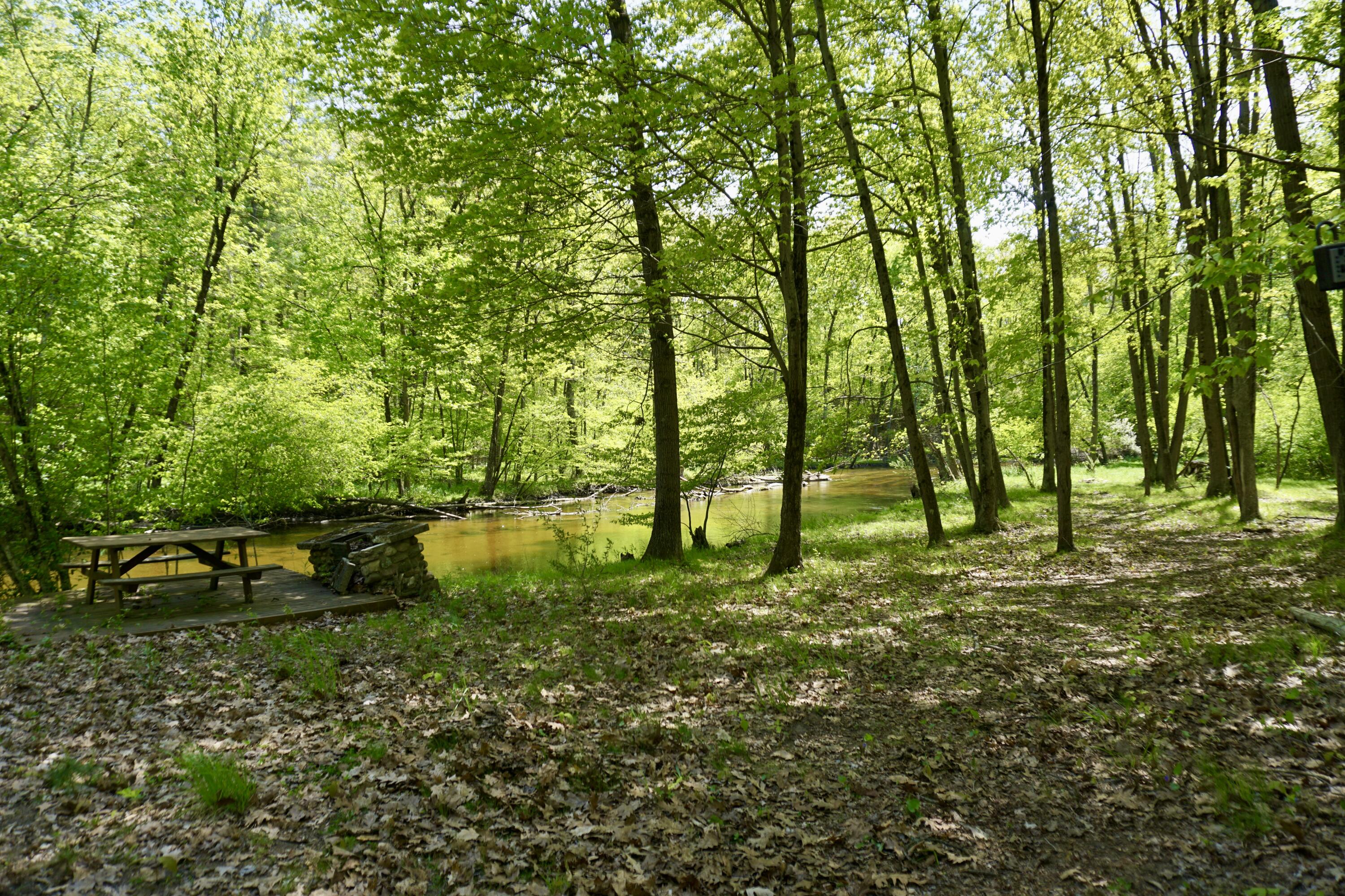 West County Line Road Gowen, MI 49326 - Photo 20 of 26 DSC01070