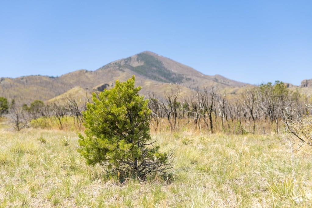 Lot 25 Majors Ranch Walsenburg, CO 81089 - Photo 19 of 34