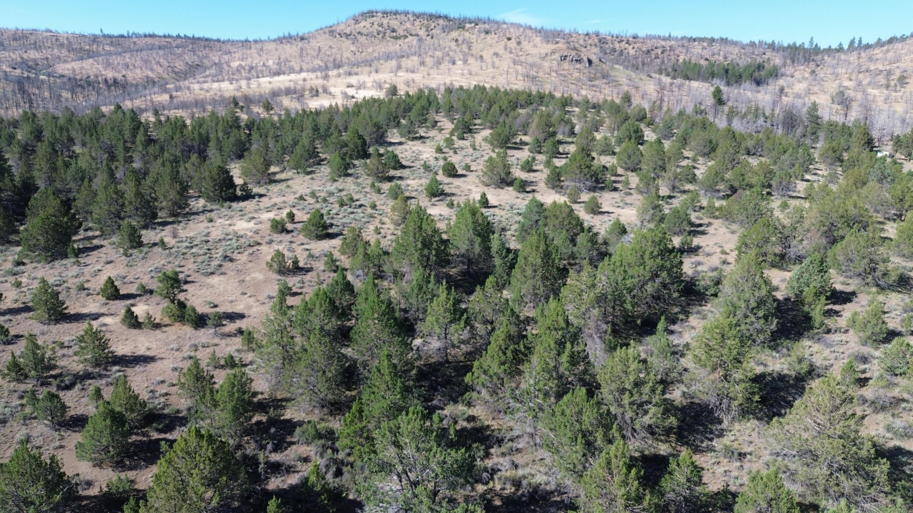 Lot 28 Butte Road Adin, CA 96006 - Photo 14 of 19 a view of a city with mountains in the background