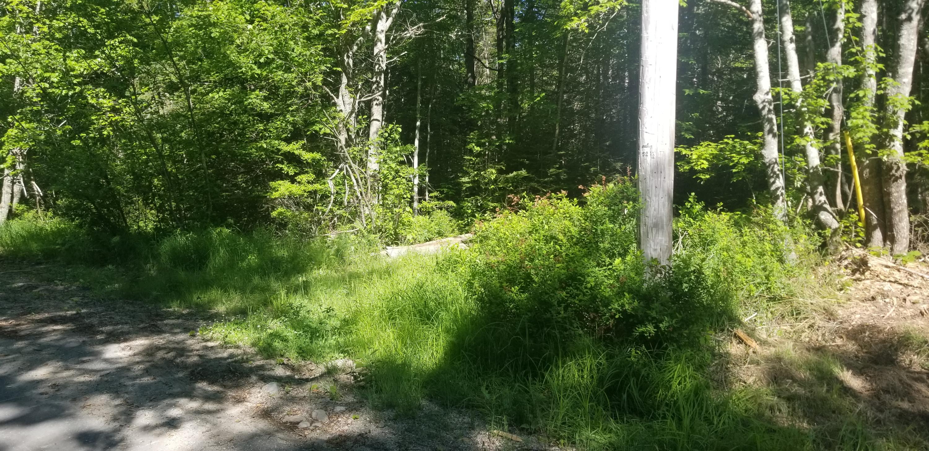 Tbd Georges Pond Road Franklin, ME 04634 - Photo 2 of 24 20200613_090005