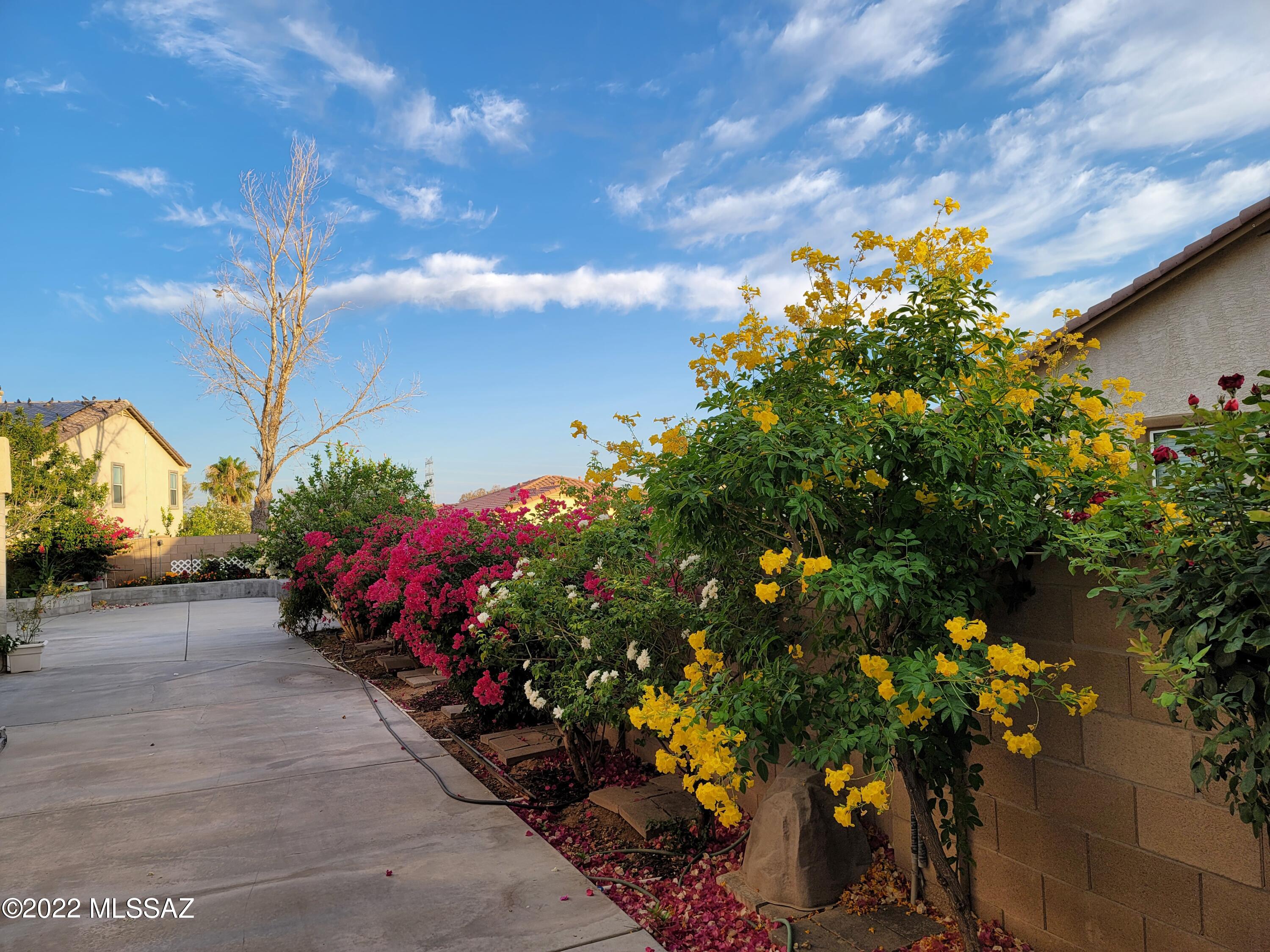 6794 South Thimbleberry Road Tucson, AZ 85756 - Photo 6 of 50 Gallery Image 6