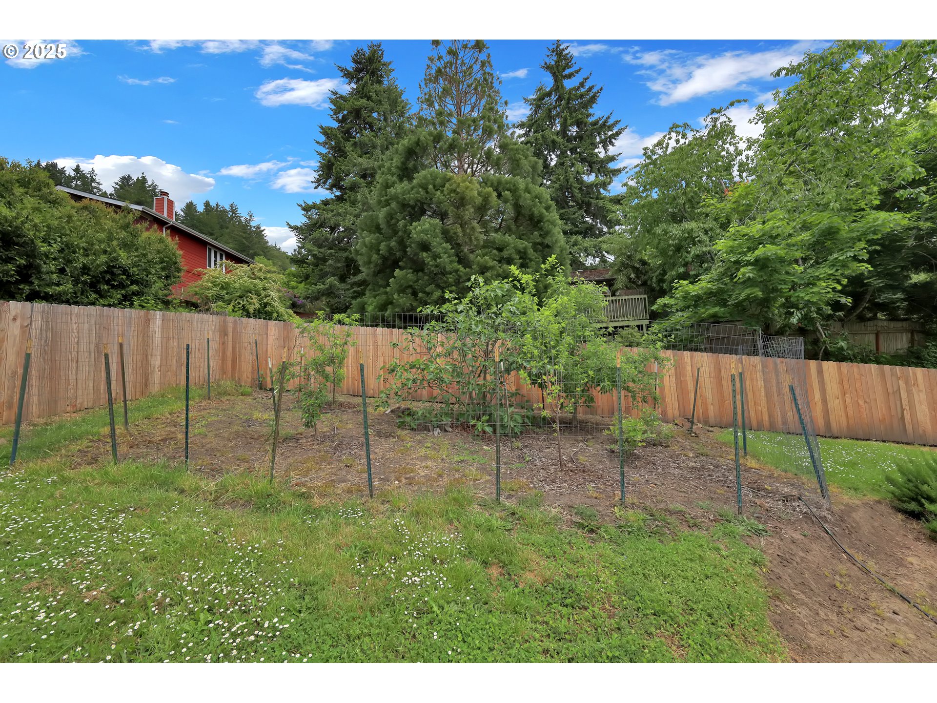 3765 Potter Street Eugene, OR 97405 - Photo 40 of 48 a backyard of a house with lots of green space