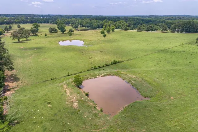 a view of an ocean and a yard