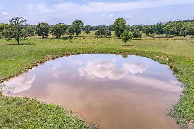 a view of a park with large trees and a big yard