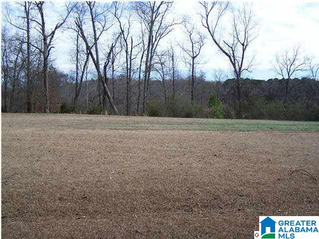 4820 Spunky Hollow Road Remlap, AL 35133 - Photo 14 of 24