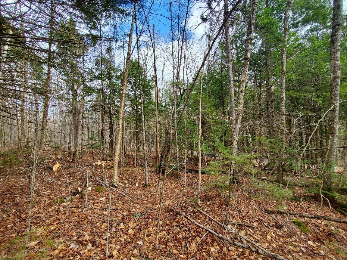 0 Sandy Beach Road Danforth, ME 04424 - Photo 11 of 27 interior