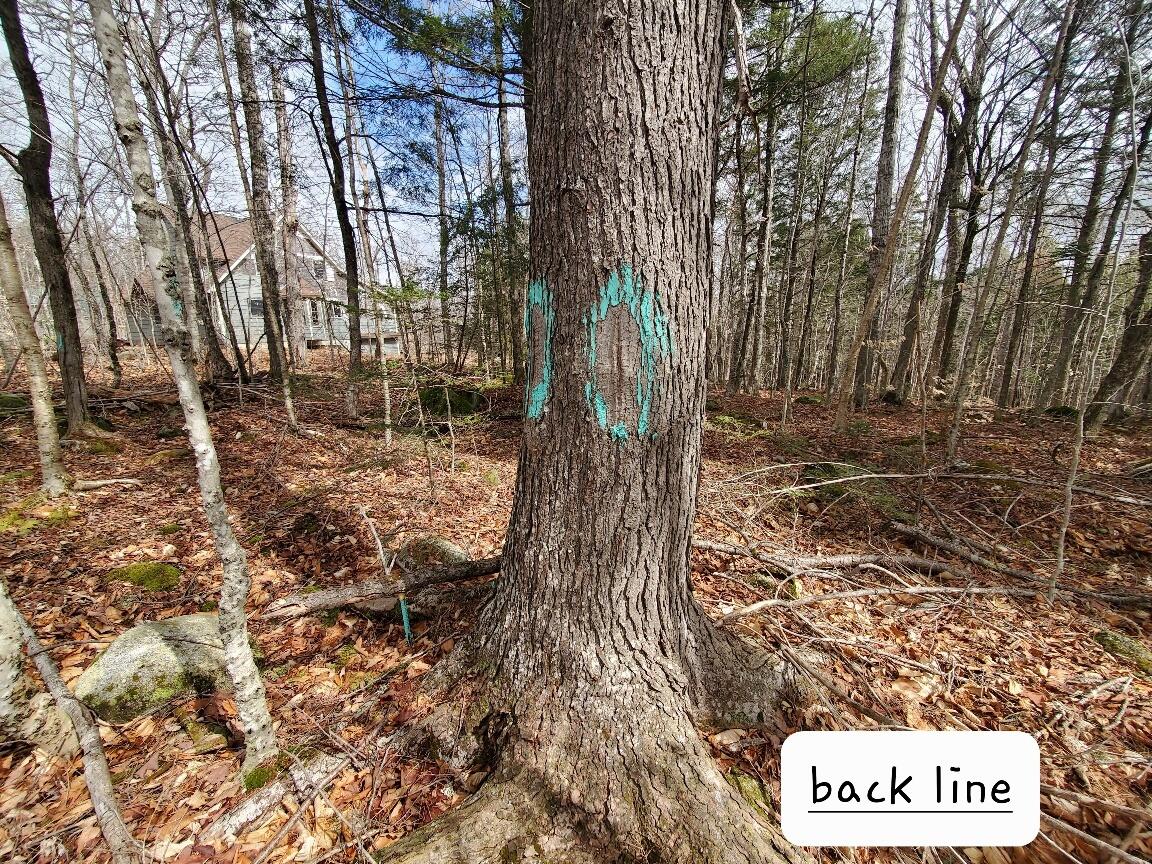 0 Sandy Beach Road Danforth, ME 04424 - Photo 14 of 27 back line