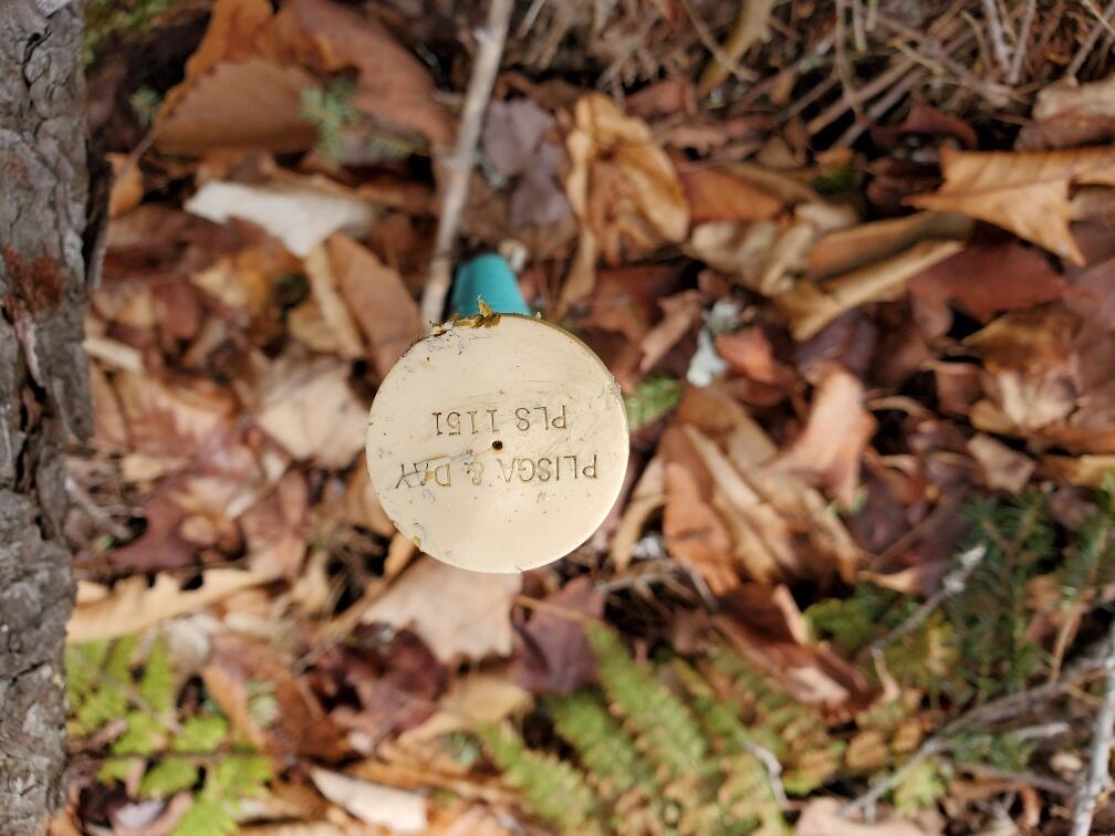 0 Sandy Beach Road Danforth, ME 04424 - Photo 16 of 27 one of neighbors pins