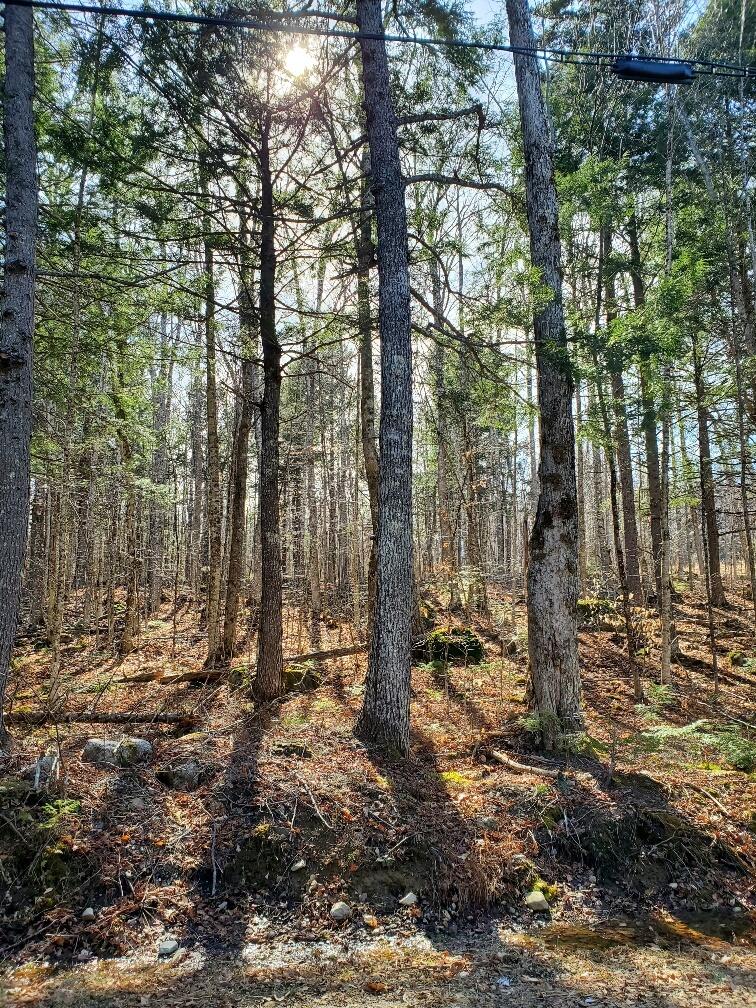 0 Sandy Beach Road Danforth, ME 04424 - Photo 17 of 33 interior