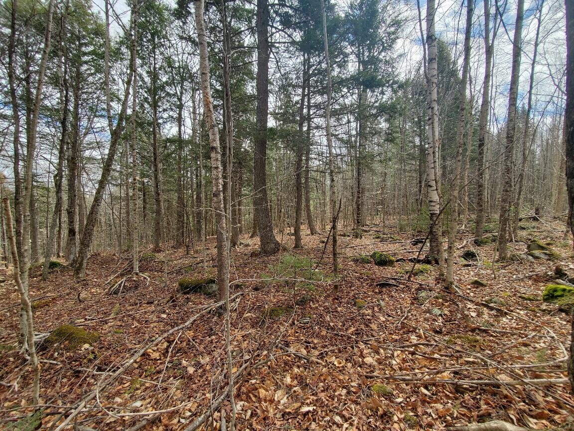 0 Sandy Beach Road Danforth, ME 04424 - Photo 18 of 33 interior