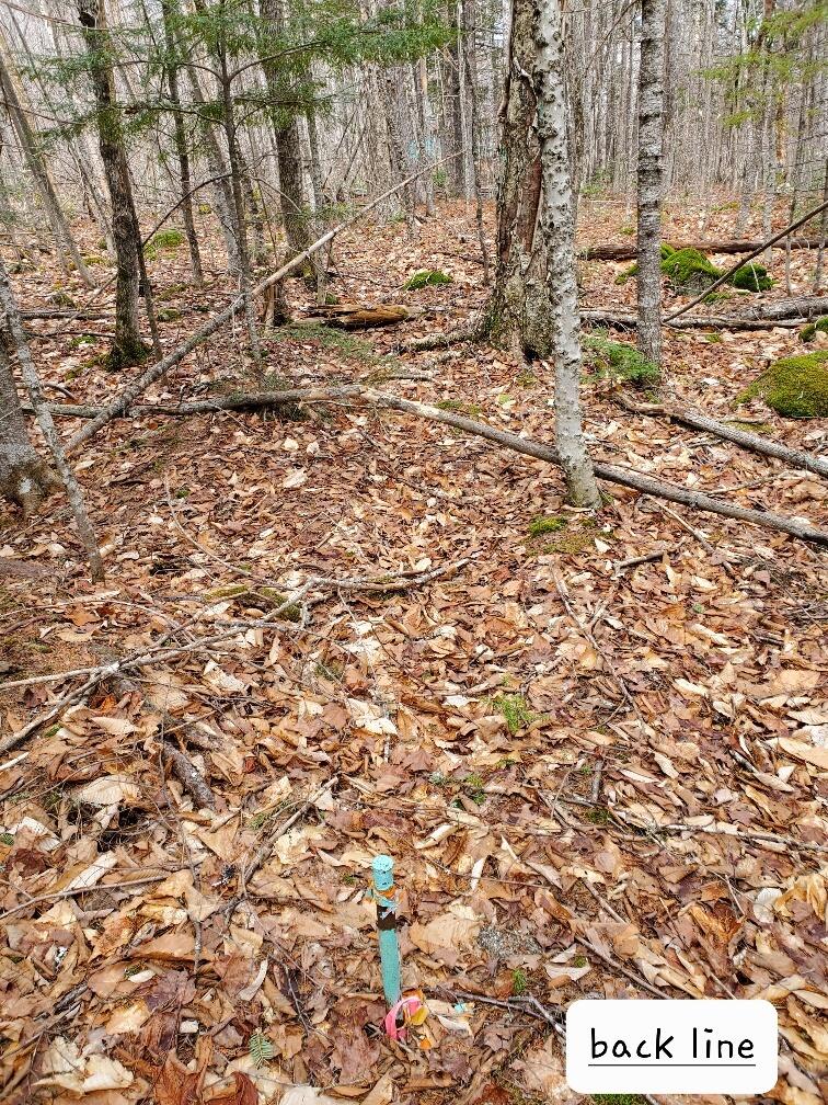 0 Sandy Beach Road Danforth, ME 04424 - Photo 20 of 27 interior