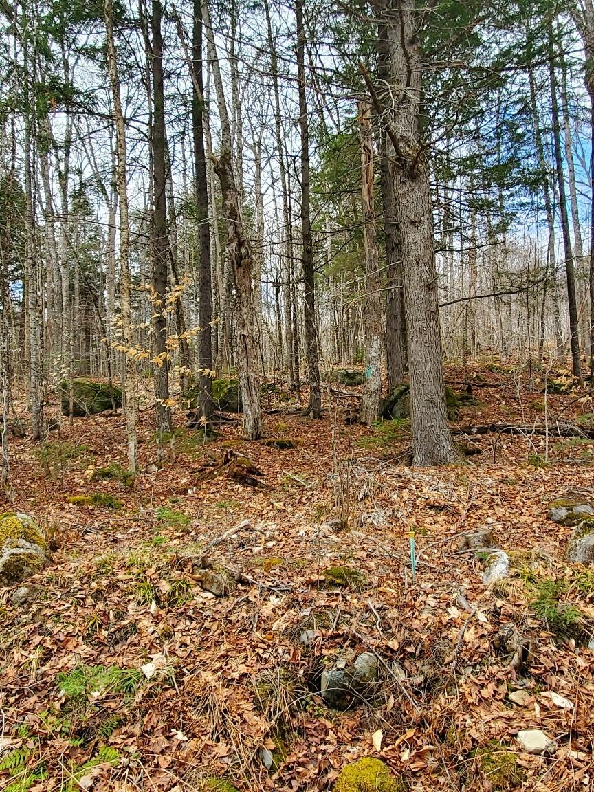 0 Sandy Beach Road Danforth, ME 04424 - Photo 3 of 27 front