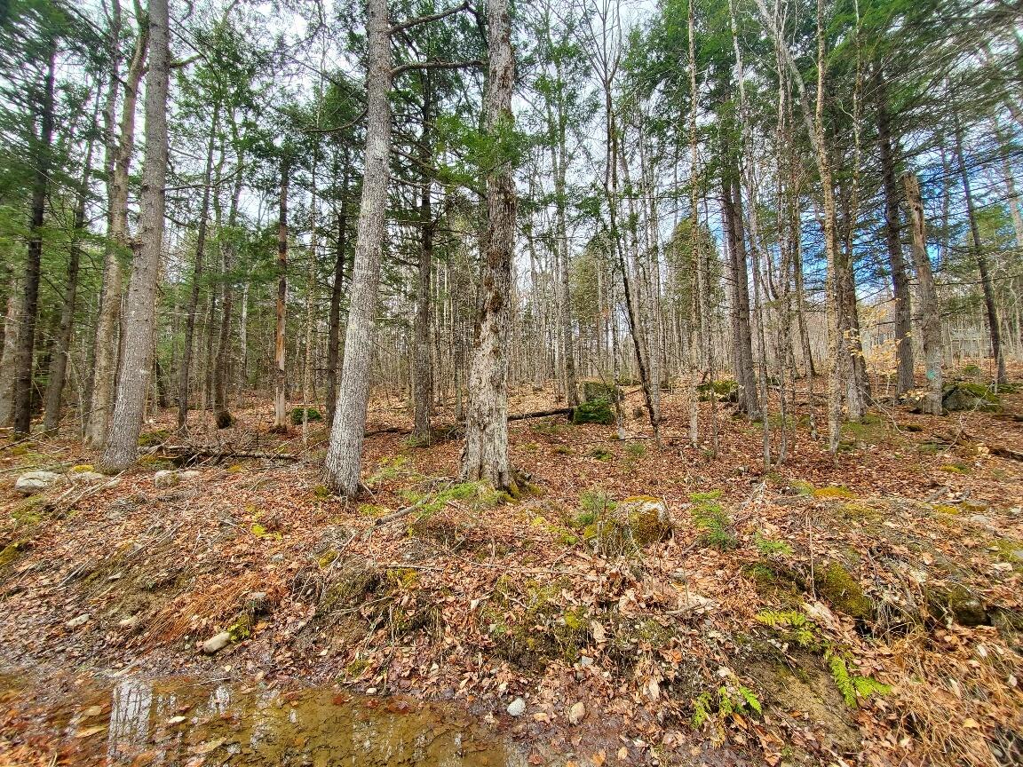 0 Sandy Beach Road Danforth, ME 04424 - Photo 4 of 27 along the road