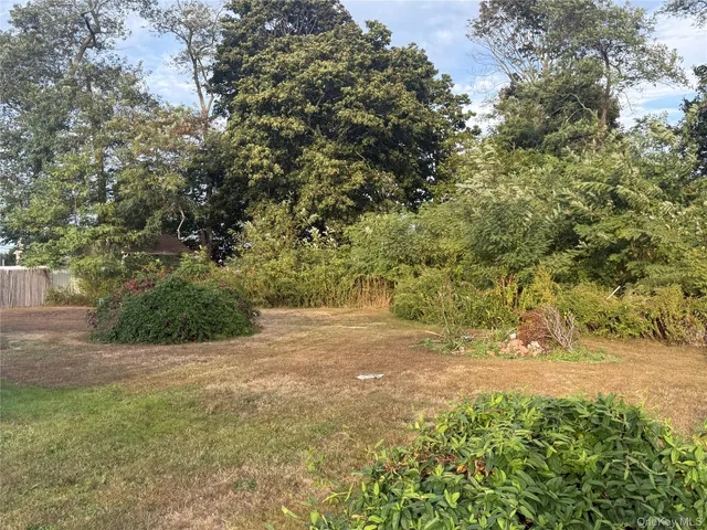 a view of a yard with plants and trees
