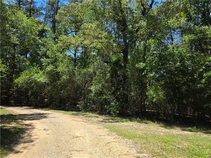 $220,000 | 0 Exnicios Drive, Folsom, LA 70437