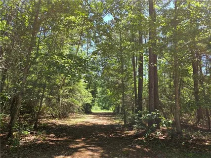 $220,000 | 0 Exnicios Drive, Folsom, LA 70437