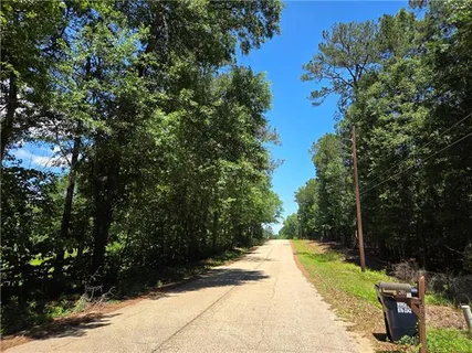 $220,000 | 0 Exnicios Drive, Folsom, LA 70437