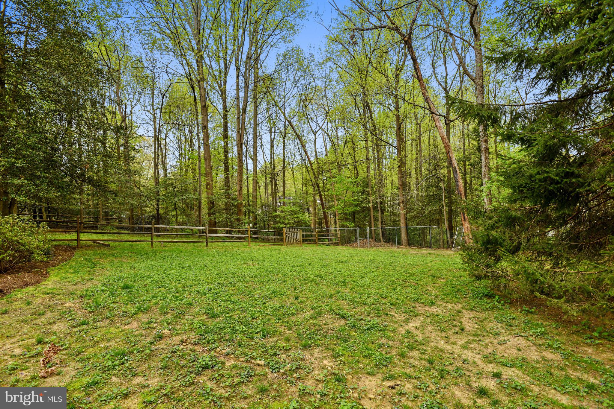 11727 Quay Road Oakton, VA 22124 - Photo 43 of 47 1 Acre lot with serene privacy