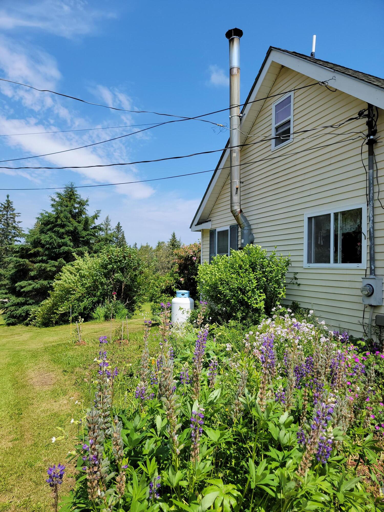 33 Gin Cove Road Perry, ME 04667 - Photo 4 of 49 20220627_111627