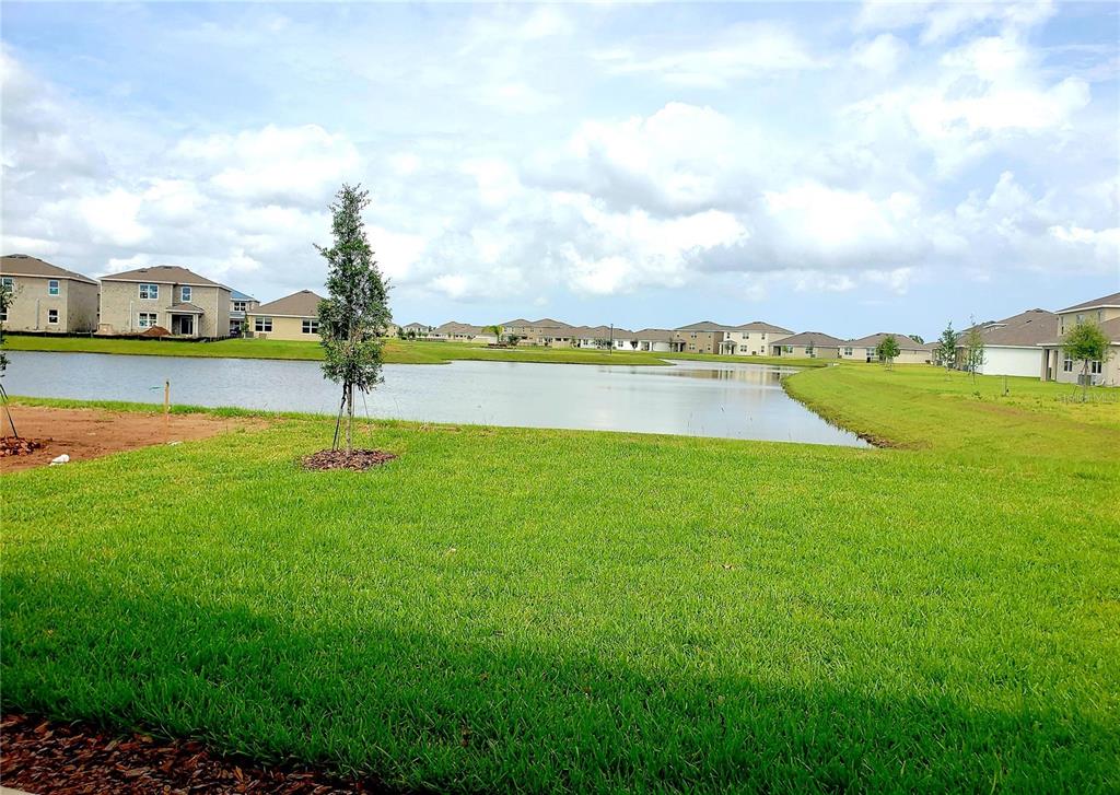 5210 Grove Mill Loop Lakewood Ranch, FL 34211 - Photo 19 of 48 a view of an outdoor space and swimming pool