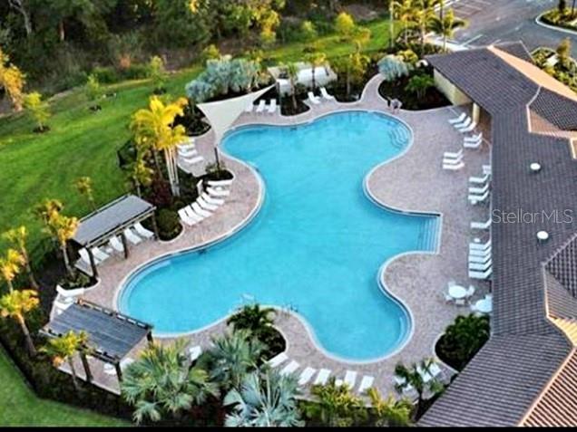 5210 Grove Mill Loop Lakewood Ranch, FL 34211 - Photo 3 of 48 a view of a swimming pool with lawn chairs and potted plants