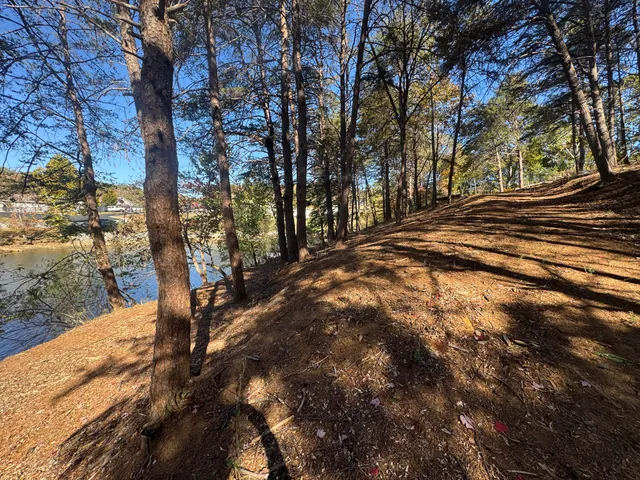 a view of road and trees