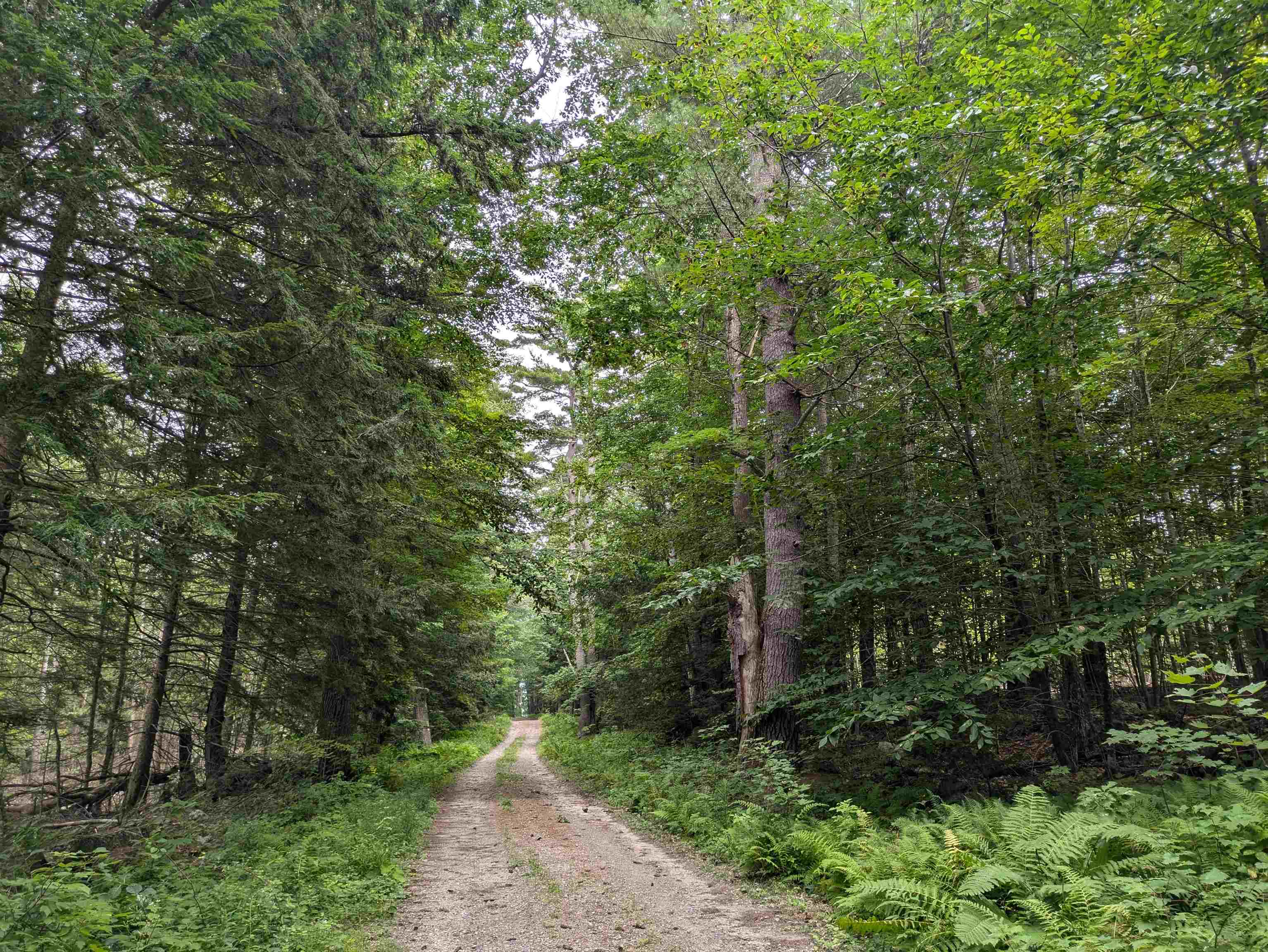 Lot Eaton Eaton Grange Road West Warner, NH 03278 - Photo 2 of 10