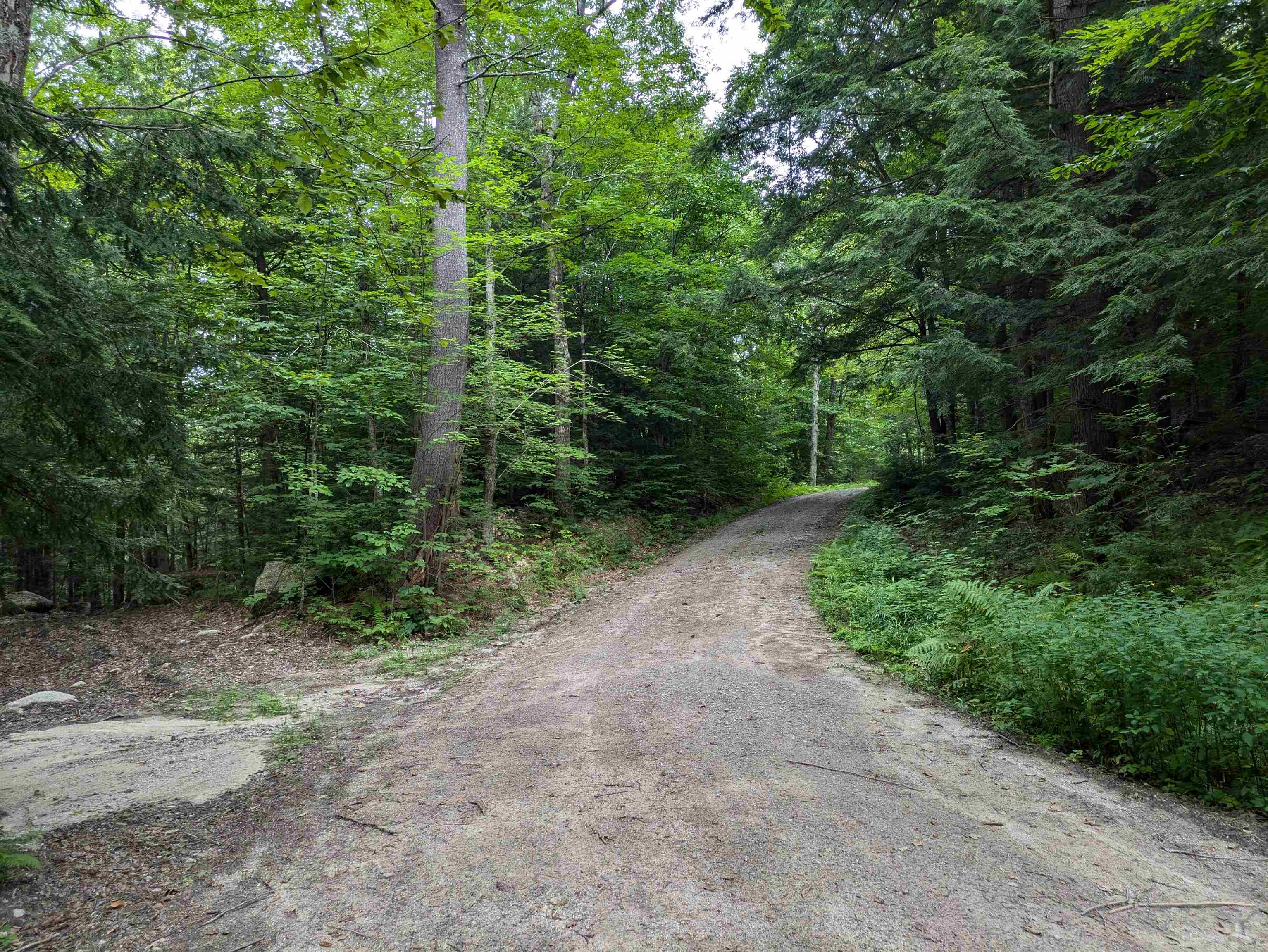 Lot Eaton Eaton Grange Road West Warner, NH 03278 - Photo 3 of 10