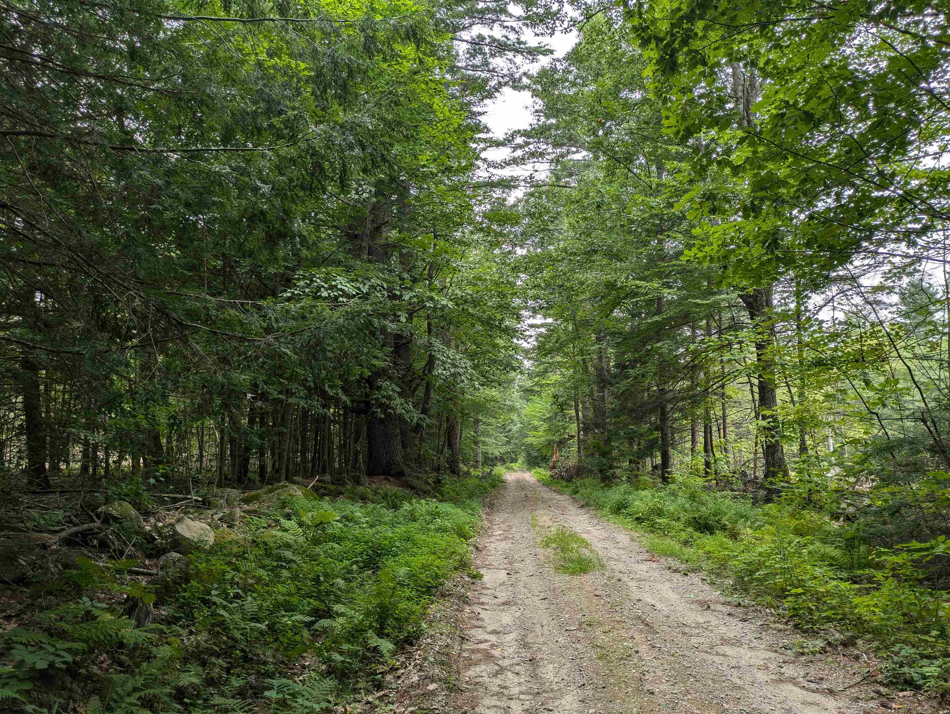 Lot Eaton Eaton Grange Road West Warner, NH 03278 - Photo 6 of 10