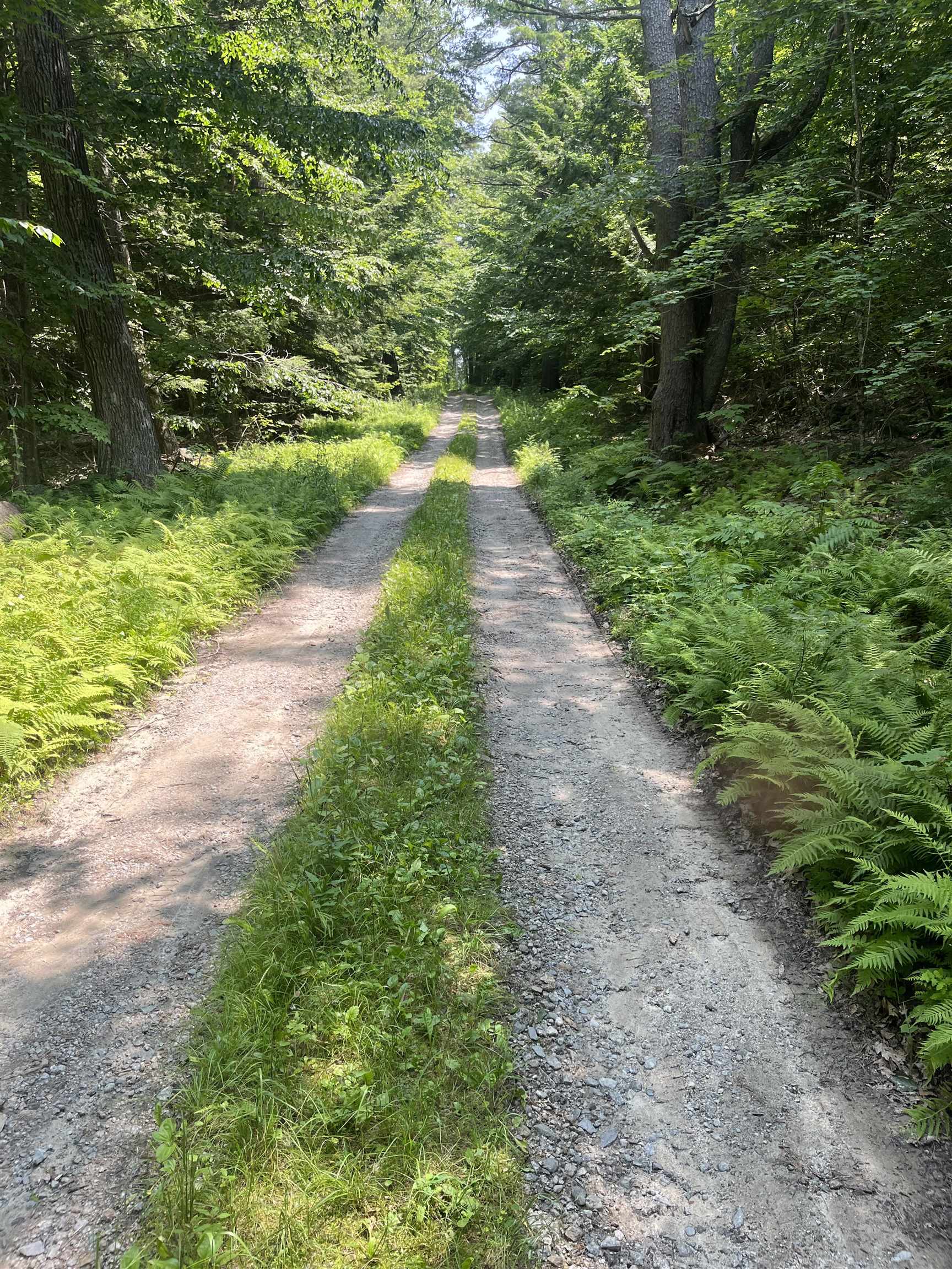 Lot Eaton Eaton Grange Road West Warner, NH 03278 - Photo 7 of 10