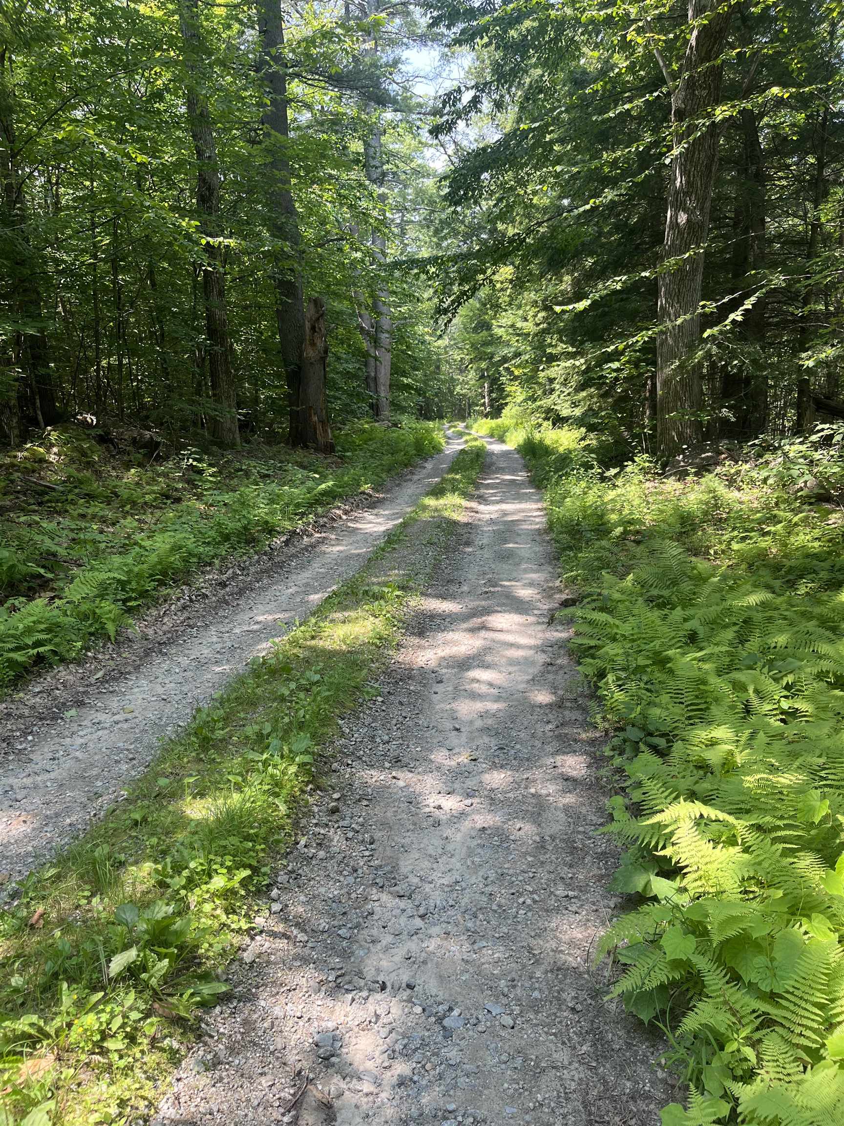 Lot Eaton Eaton Grange Road West Warner, NH 03278 - Photo 8 of 10