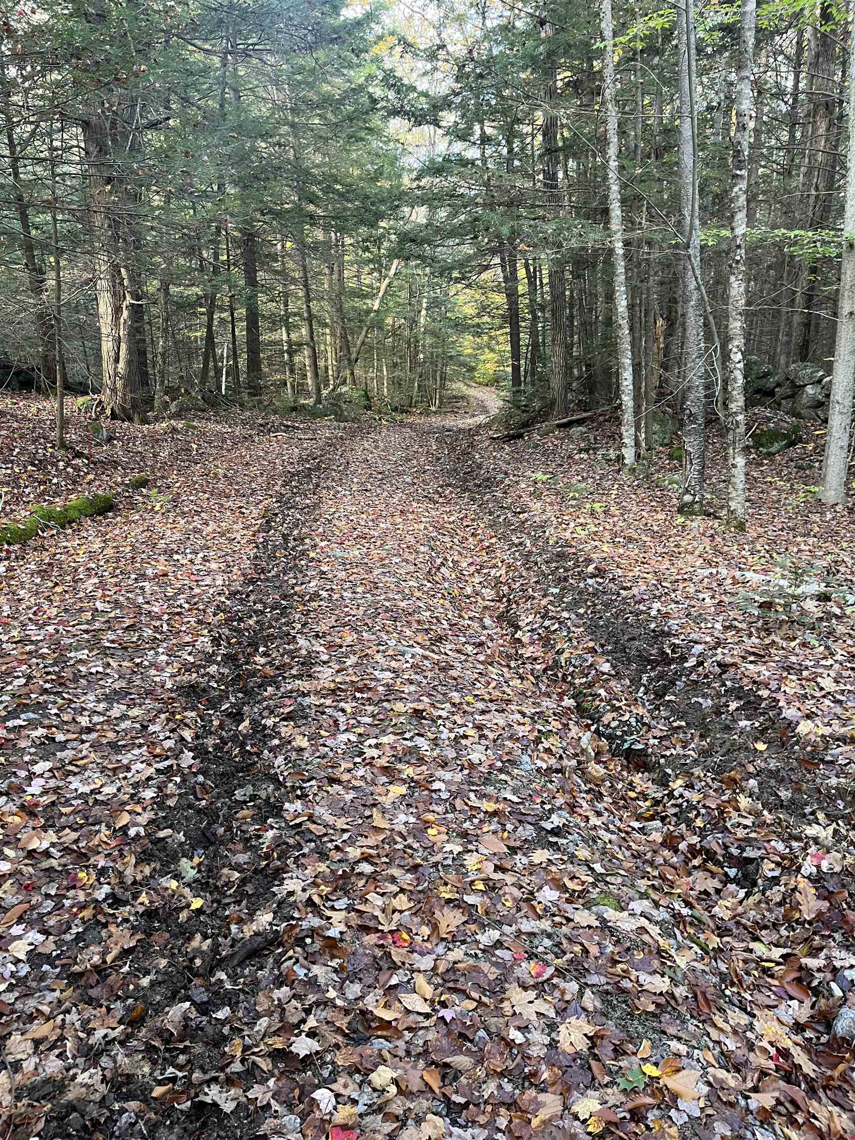 Lot Eaton Eaton Grange Road West Warner, NH 03278 - Photo 9 of 10