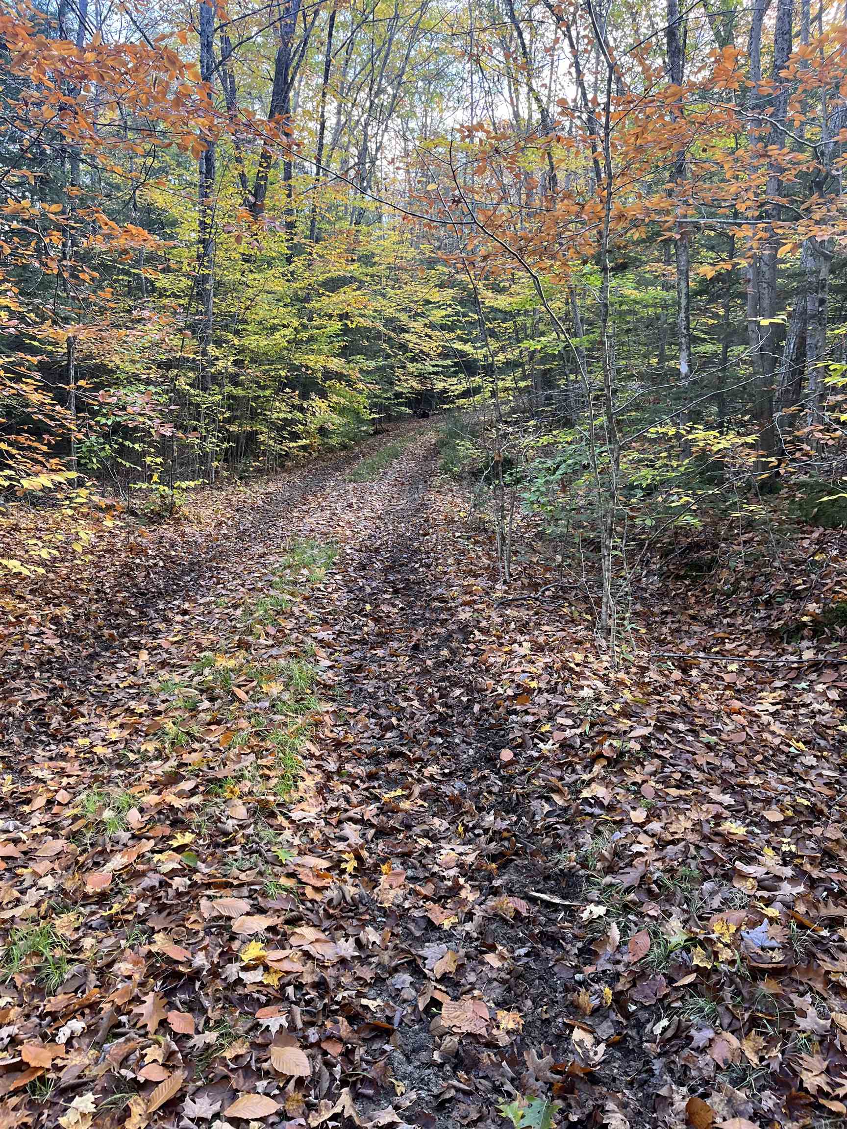 Lot Eaton Eaton Grange Road West Warner, NH 03278 - Photo 10 of 10
